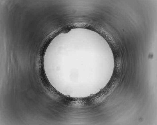 X0000103460356200810031503