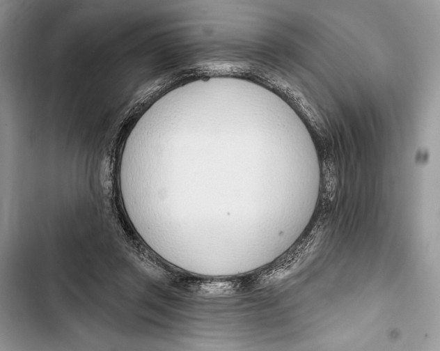 X0000103460357200810031503