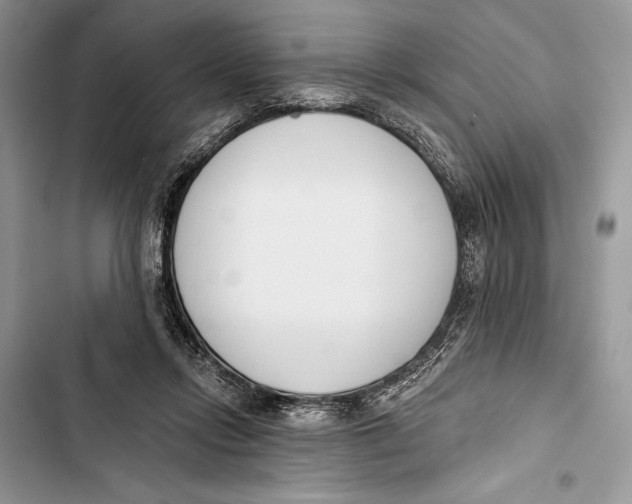 X0000103460358200810031503