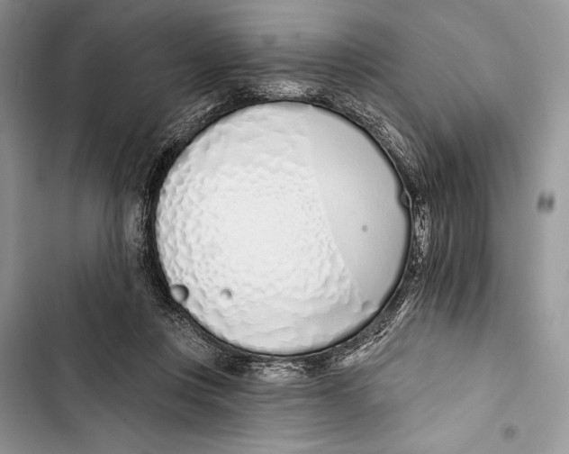 X0000103460359200810031503