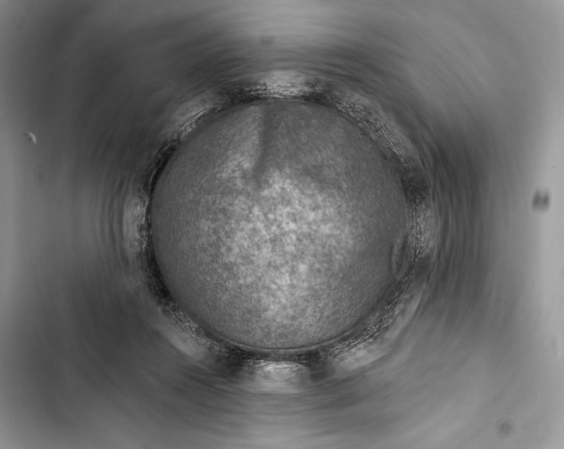 X0000103460360200810031503