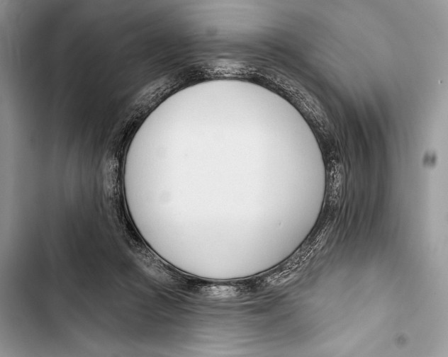 X0000103460361200810031503