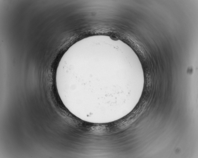 X0000103460362200810031503