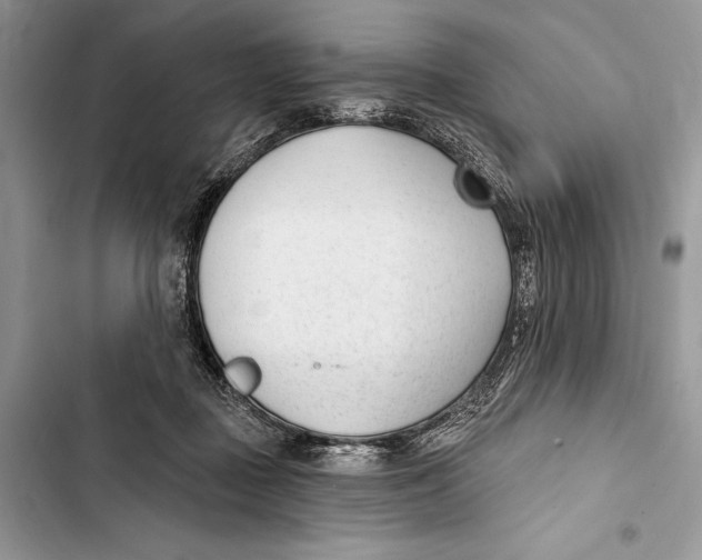 X0000103460363200810031503