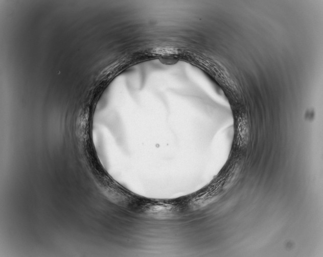 X0000103460364200810031503