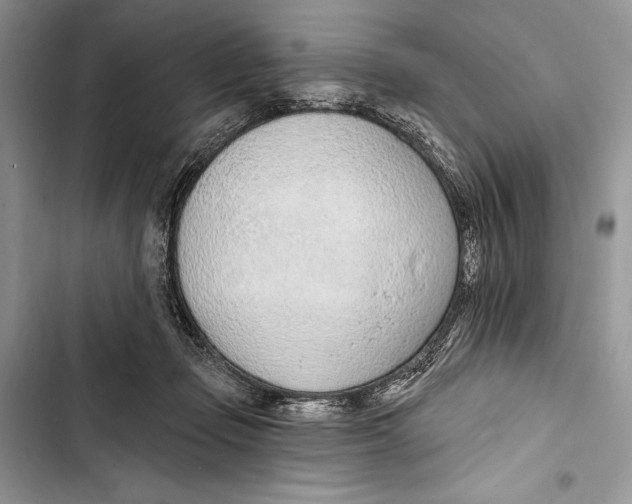 X0000103460365200810031503