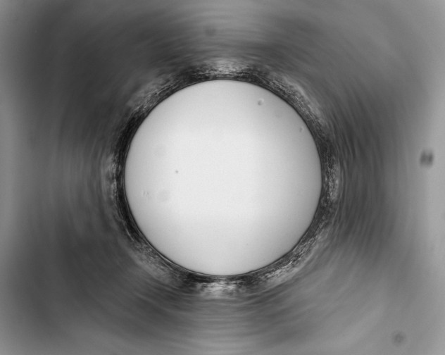 X0000103460366200810031503