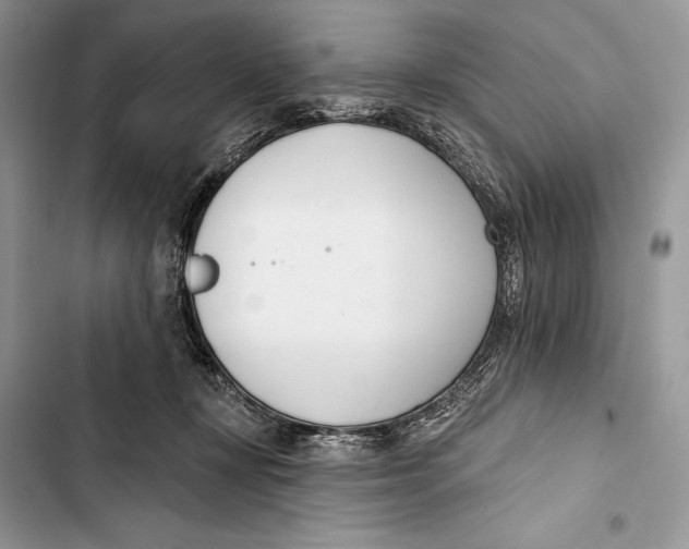 X0000103460367200810031503