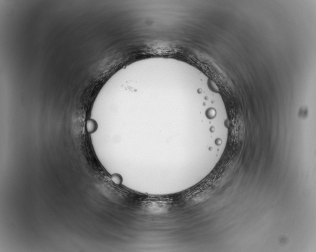 X0000103460368200810031503