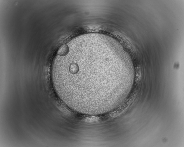 X0000103460369200810031503