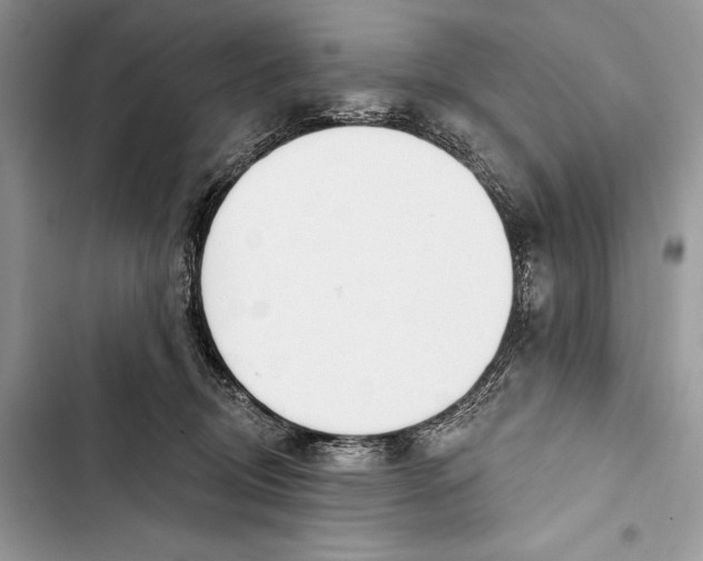 X0000103460370200810031503