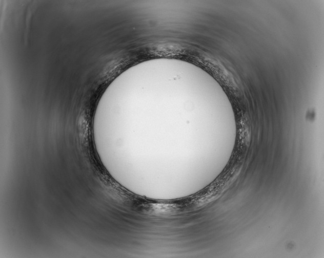 X0000103460371200810031503