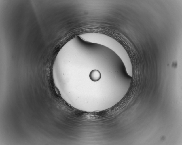 X0000103460372200810031503