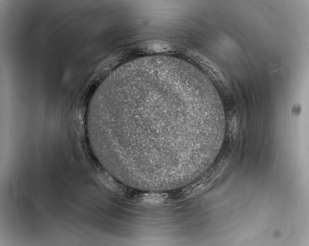 X0000103460373200810031503