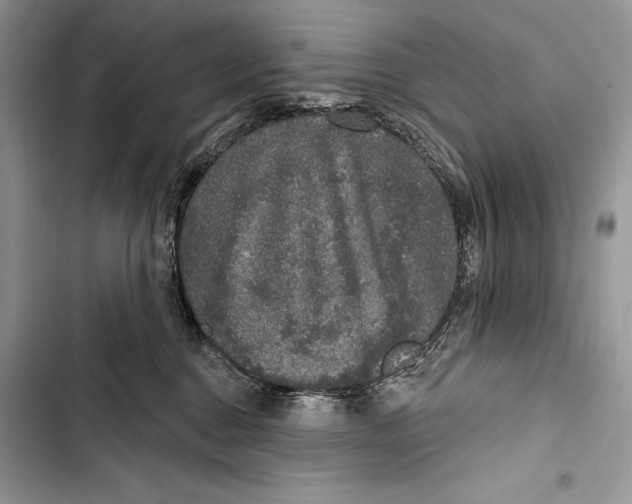 X0000103460376200810031503