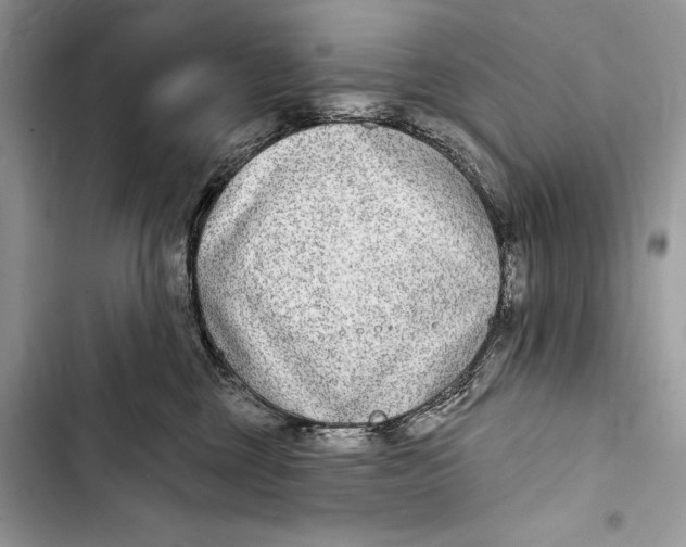 X0000103460377200810031503