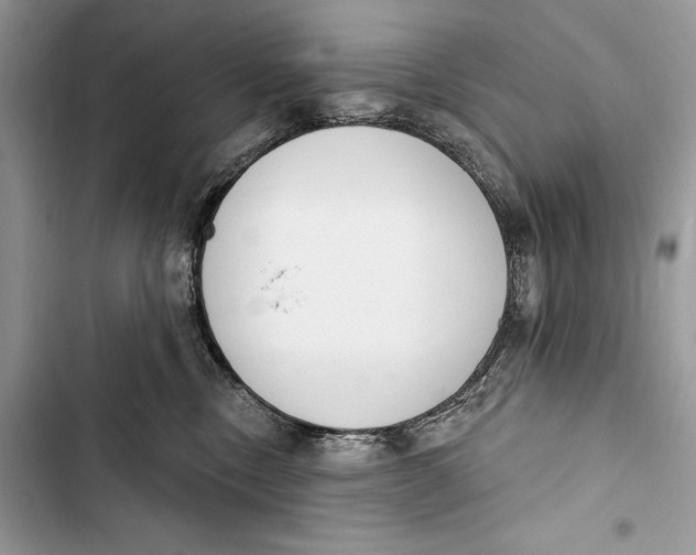 X0000103460378200810031503