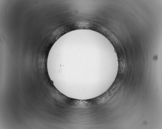 X0000103460379200810031503