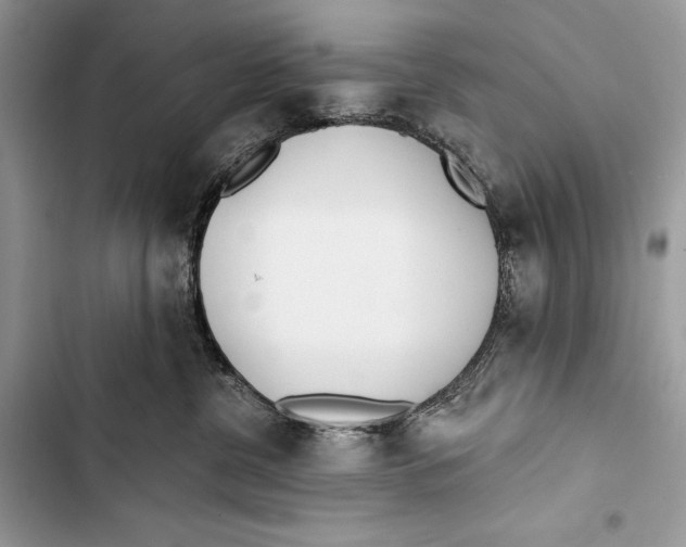 X0000103460380200810031503