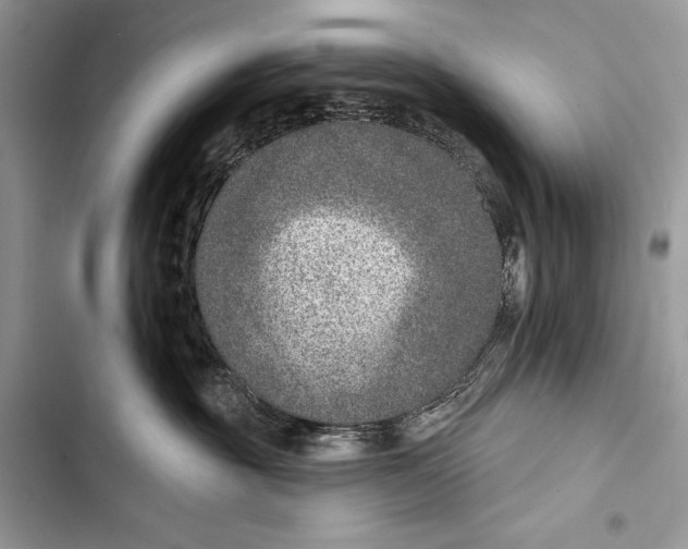 X0000103460381200810031503