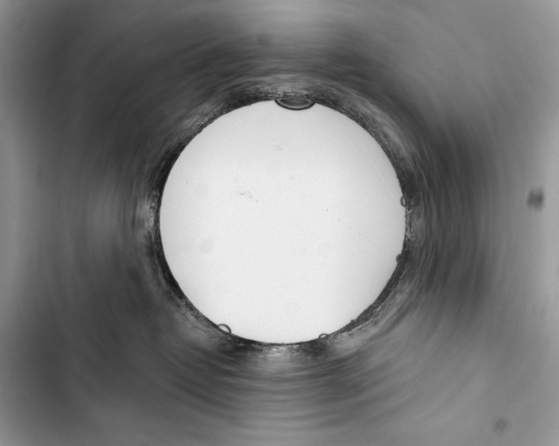 X0000103460382200810031503