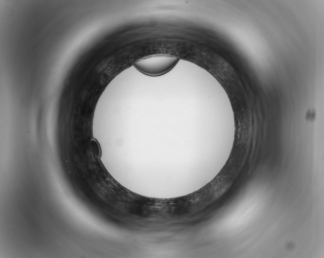 X0000103460383200810031503