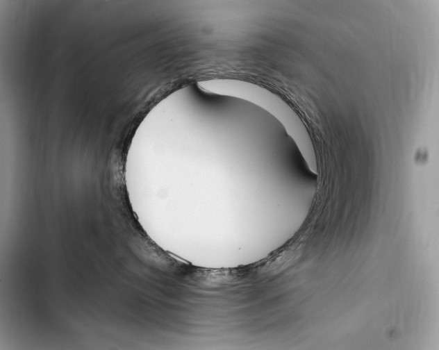 X0000103460384200810031503