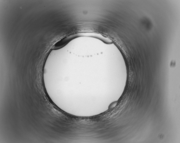 X0000103460385200810031503