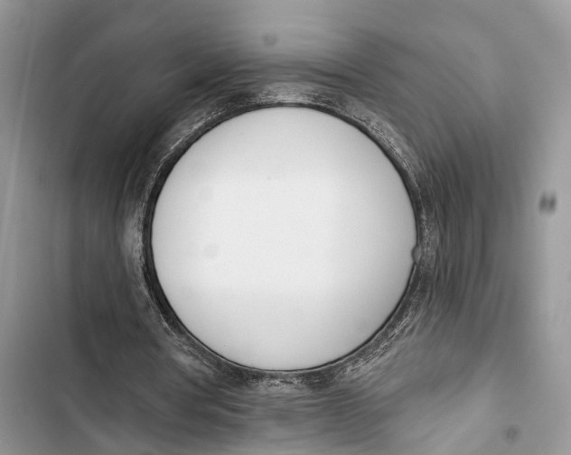 X0000103460386200810031503