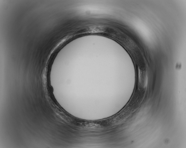 X0000103460387200810031503