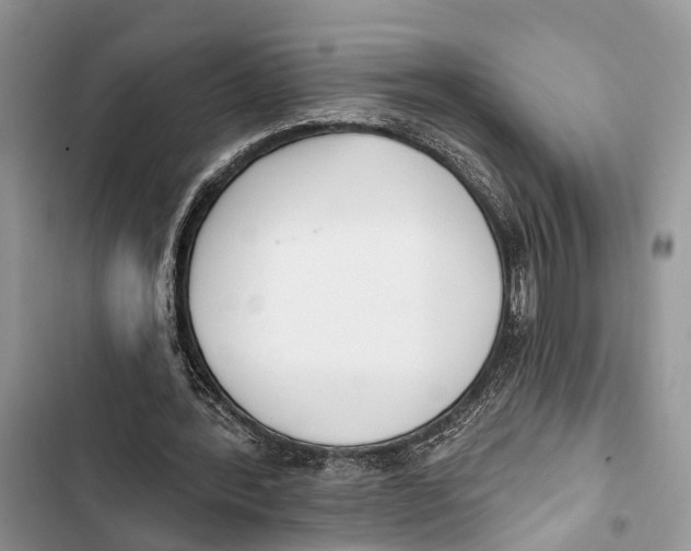 X0000103460388200810031503