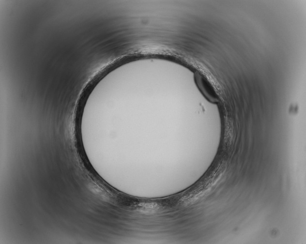 X0000103460391200810031503