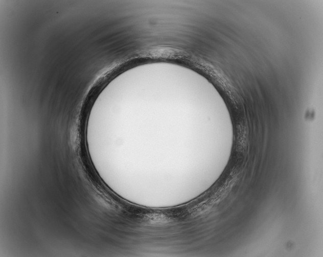 X0000103460392200810031503