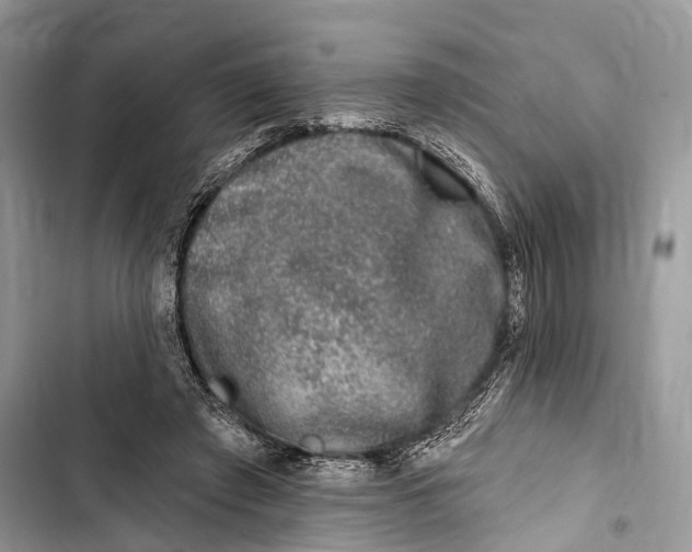 X0000103460401200810031502