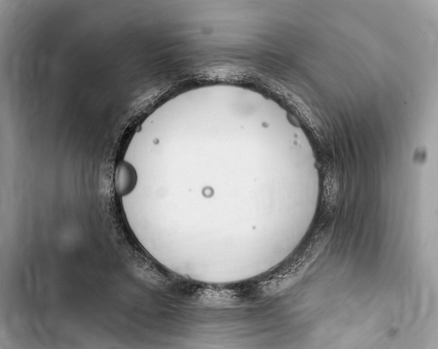 X0000103460403200810031502