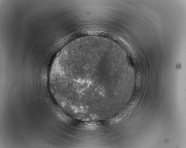 X0000103460405200810031502