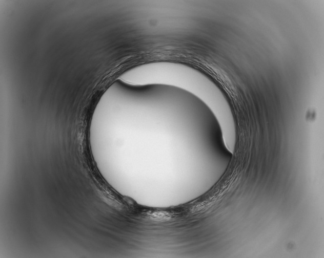 X0000103460409200810031502