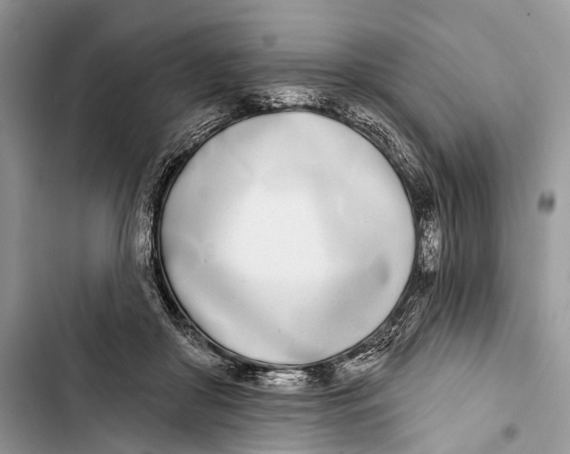 X0000103460410200810031502