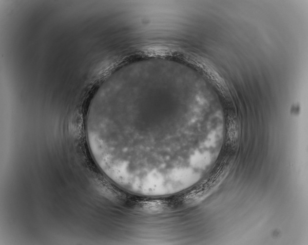 X0000103460411200810031502