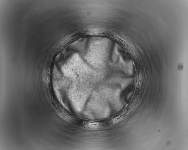 X0000103460413200810031502