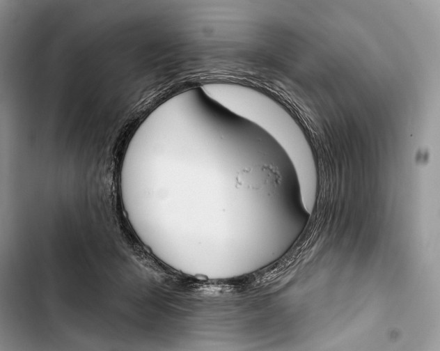 X0000103460415200810031502