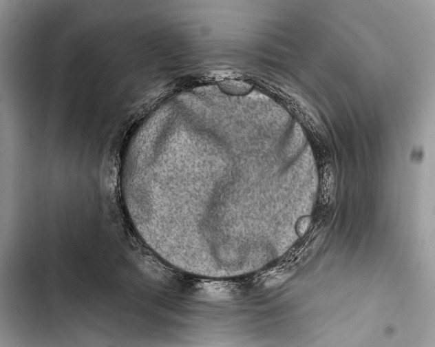 X0000103460417200810031502