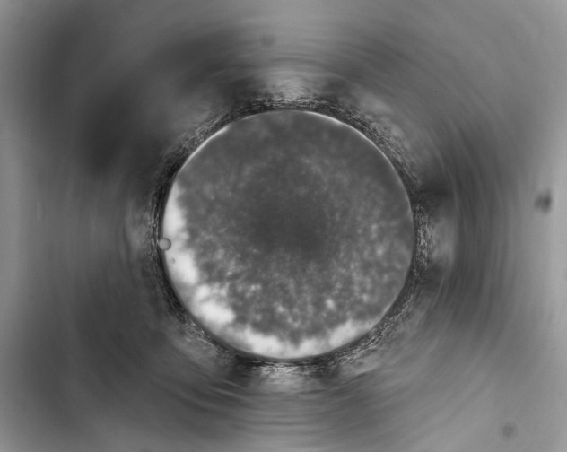 X0000103460419200810031502