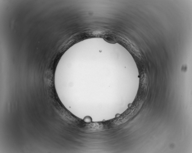 X0000103460421200810031502