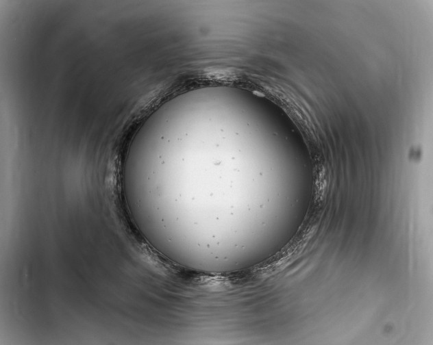 X0000103460424200810031502