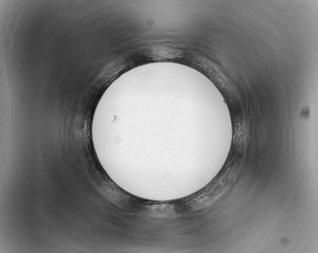 X0000103460426200810031502