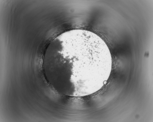 X0000103460427200810031502