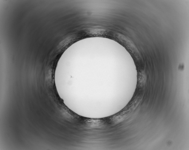 X0000103460428200810031502