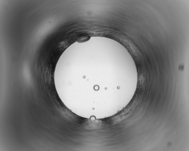 X0000103460429200810031502