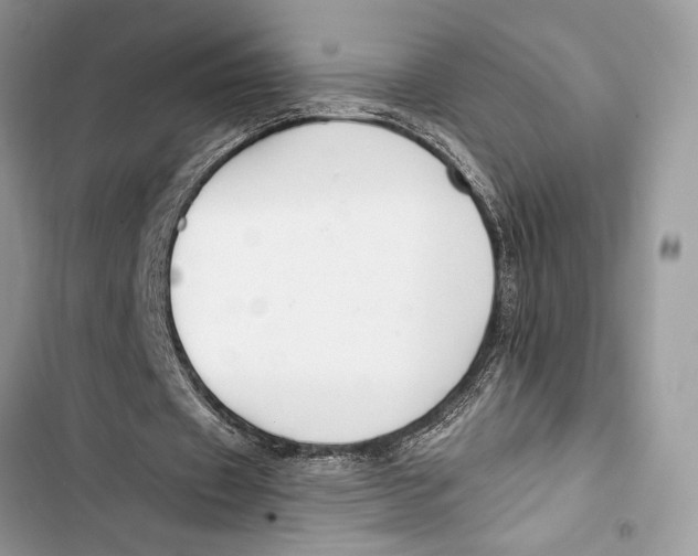 X0000103460433200810031501